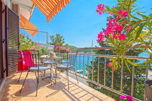 Apartments Branko