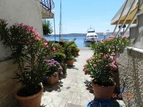 Apartments Branko