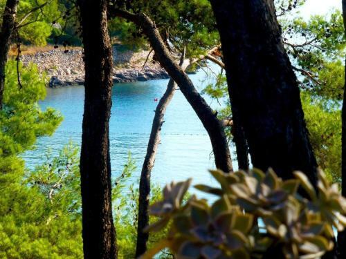 Apartments Ivica - 40 M From Beach