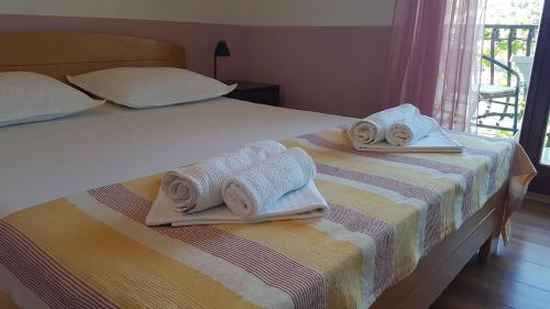 Apartment And Room Caric