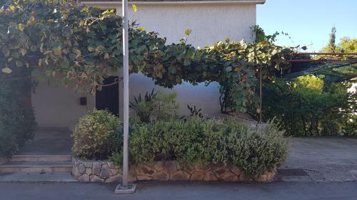 Apartment And Room Caric