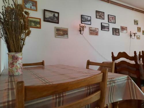 Hostal Lazy Bear