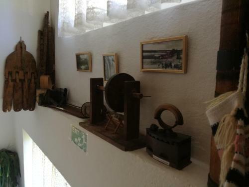 Hostal Lazy Bear