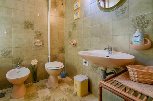 Vila Olive Tree