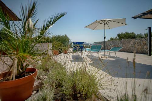 Vila Olive Tree