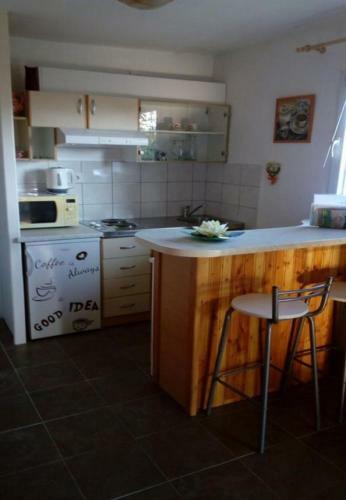 Apartment Igo - 40m From Beach