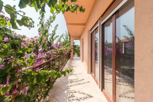 Apartments Ivica 1706