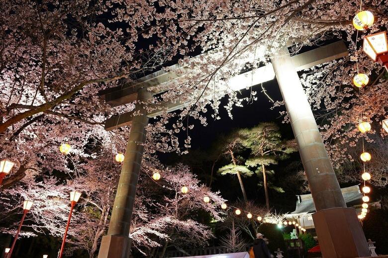 Kinugawa Plaza Hotel