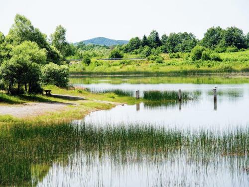 Spacious Holiday Home Near Lake In Lovinac