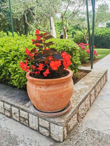 Apartments Slavica