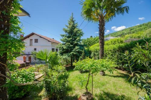 Apartmani Zeljko