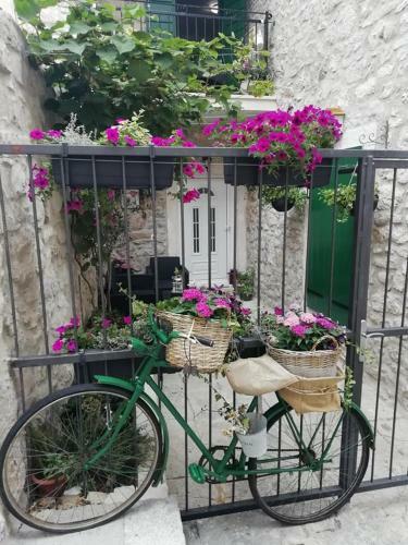 Apartman Teta Jadre