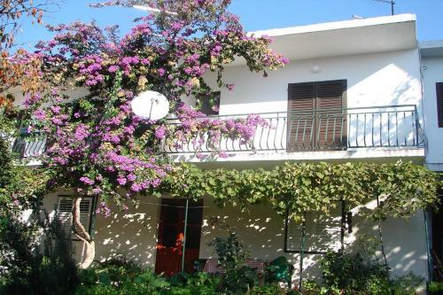 Apartments Sini-with Parking