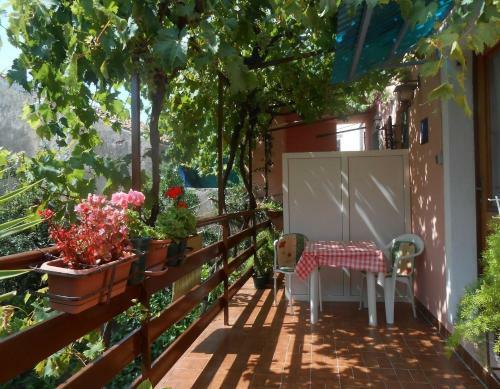 Apartments Ivan - 50 M From Sea