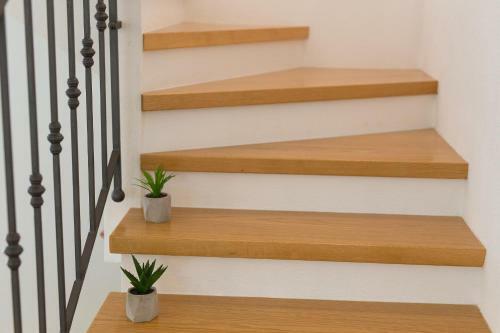 Apartment Morea