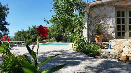 Luxury Traditional Villa With Pool