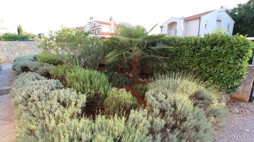 Hostal Apartments Vrbov?an