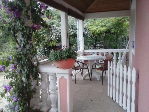 Apartments Jozefina - Barbecue
