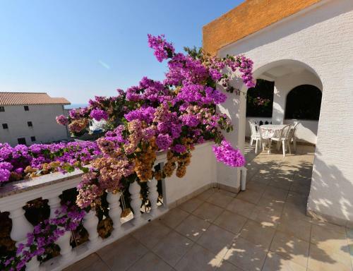 Apartments Bernardica