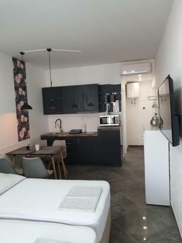 Studio Apartments Slavin