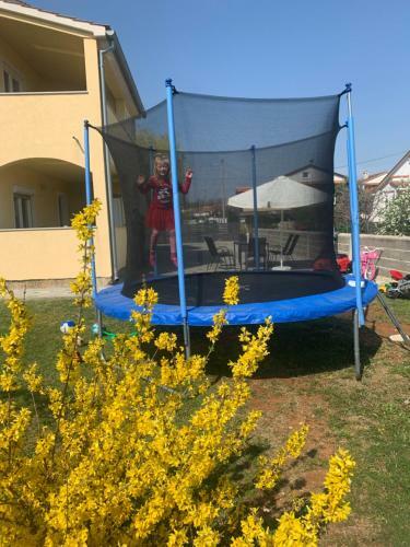 Apartment Creo Loborika