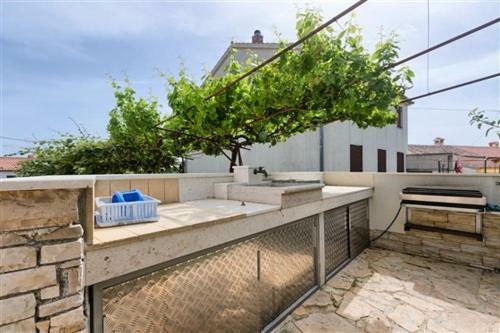 Apartment Olive Tree