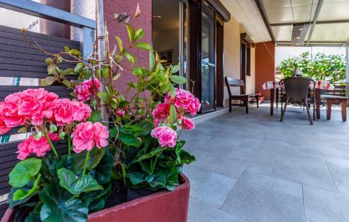 Spacious And Comfortable Apartment In Medulin, Croatia