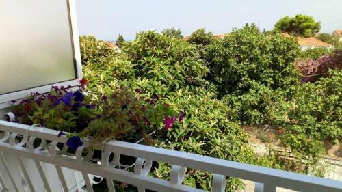 Apartments Sreca - 150m From Beach
