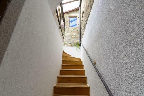 Apartments Viola