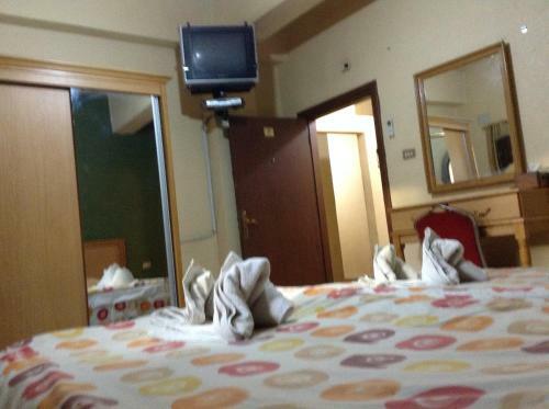 Queen Ayola Hotel