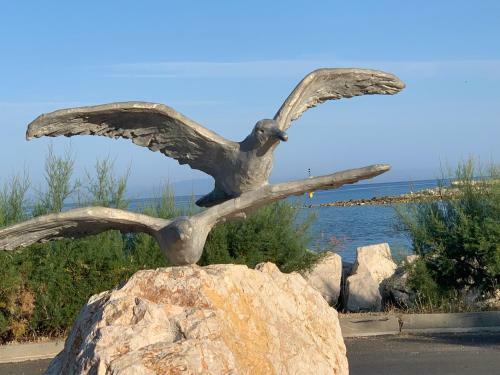 Apartments Albatross