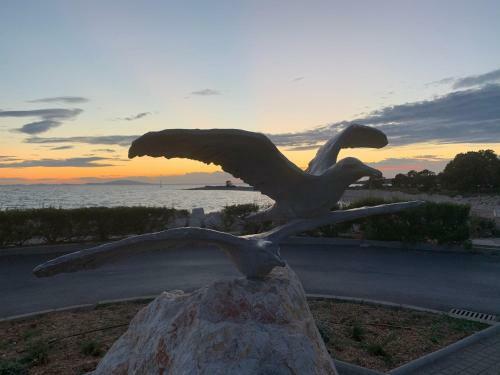 Apartments Albatross