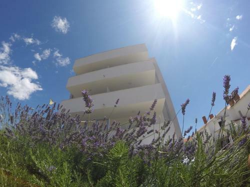 Apartments Zlatko - Great Location