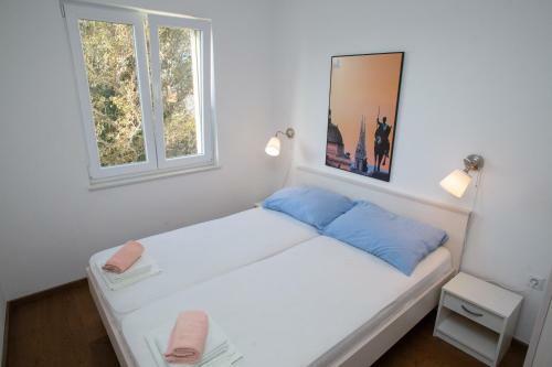 Apartmani Niks
