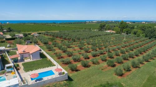 Villa Kavaljer