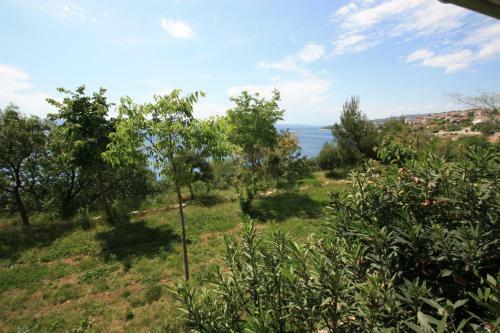 Apartamentos Drago