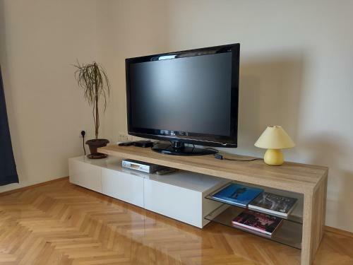 Apartment Bellevue