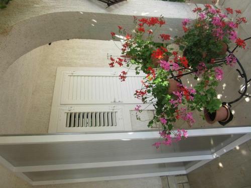 Apartamentos Miletic