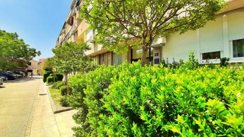 Town Center Apartment With Balcony
