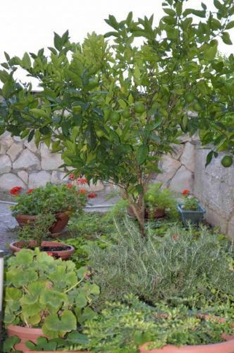 Apartamentos Aparment Iva - With Beautiful View