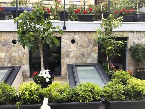 Apartamento Dantes Sin-studio Seaside With Rooftop - Opatija