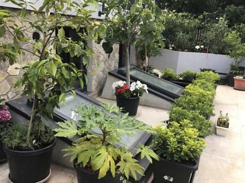 Apartamento Dantes Sin-studio Seaside With Rooftop - Opatija