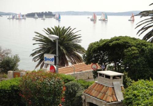 Apartments Antonio-15m From Sea
