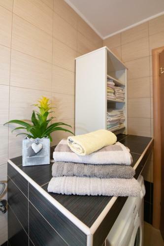 Apartmens Egle Opatija