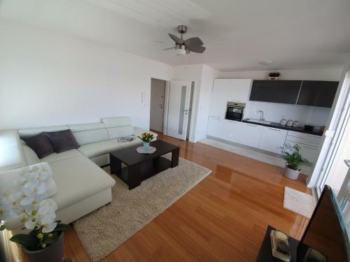 Apartment Moon Island