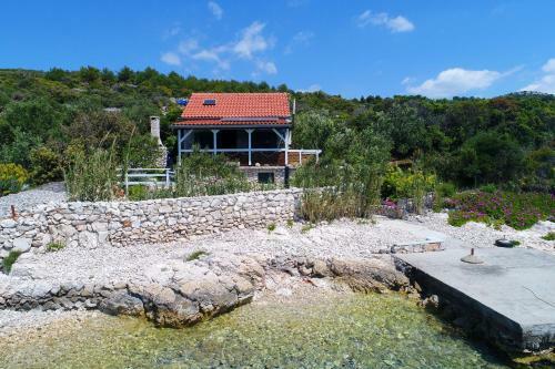 House Sea Star