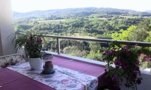 Hostal Apartments And Rooms Laura