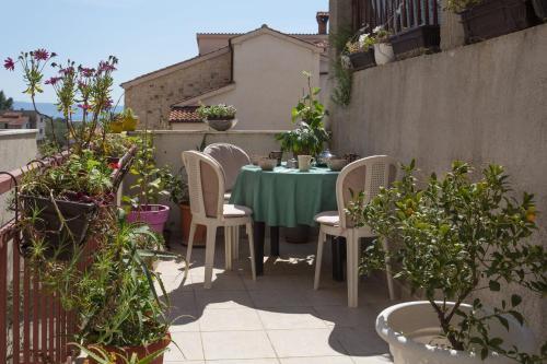 Apartment Arka