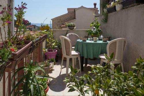 Apartment Arka