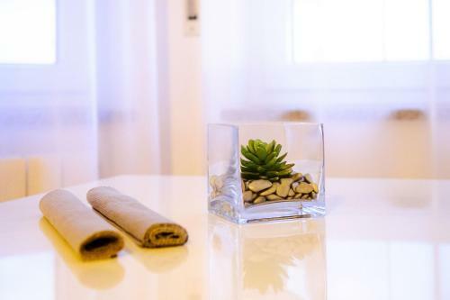 Hostal Apartments And Rooms Anka - Jacuzzi